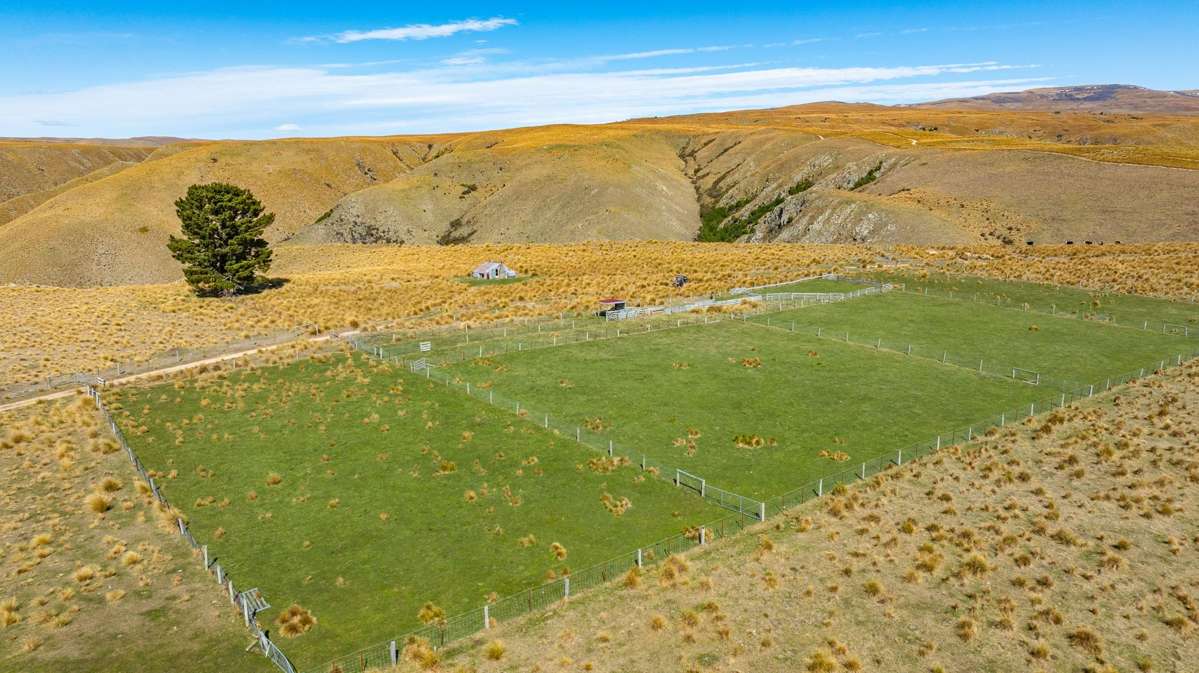 1121 The Dasher Road_3