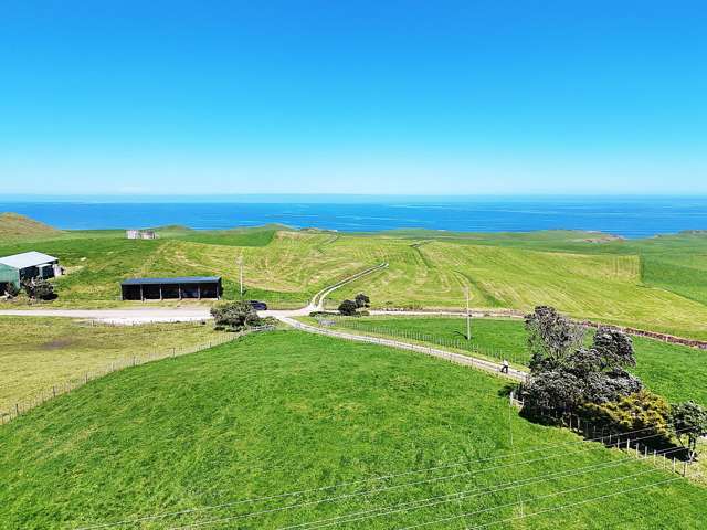 Coastal Vistas, Lifestyle Sections