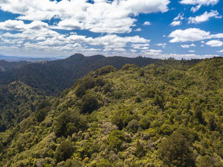 552b Cuff Road National Park_2