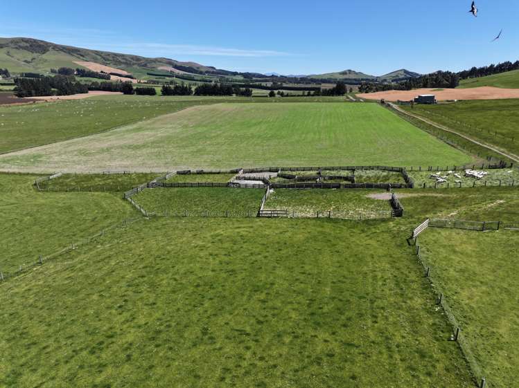 365 Glenure Hill Road Hokonui Hills_4