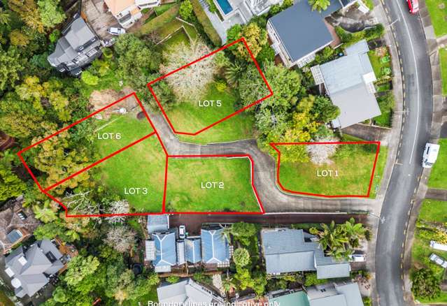 61b Ngapuhi Road Remuera_2