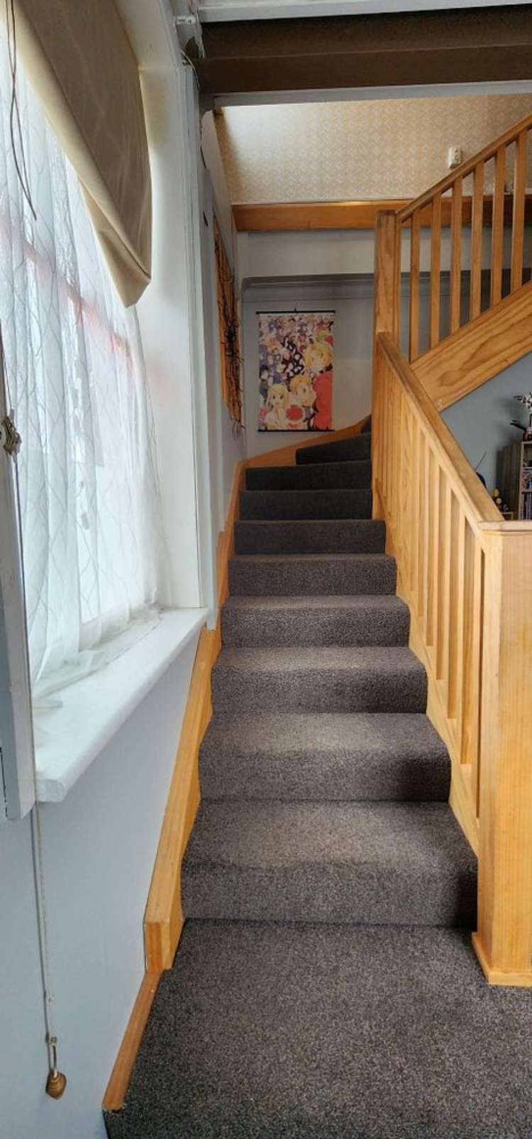 195B Carroll Street Dunedin Central_7