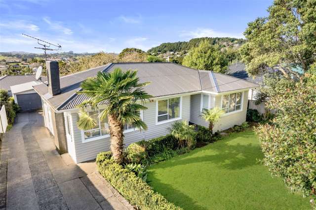 29 Prospect Terrace Pukekohe_1