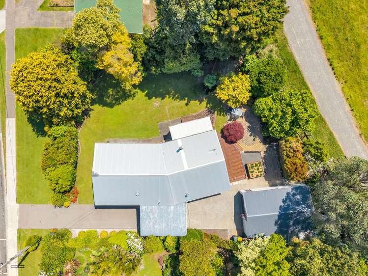 81 College Road Edgecumbe_32