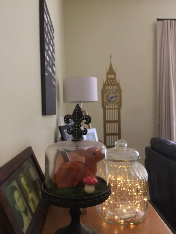 84 Appleby Road Drury_8