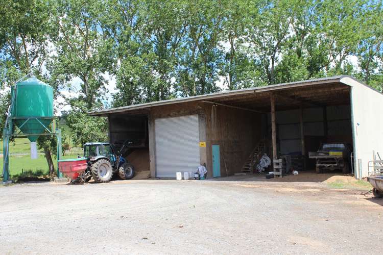 269 Kokopu Block Road Kokopu_11