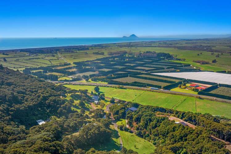 6 Kereru Lane Matata_13