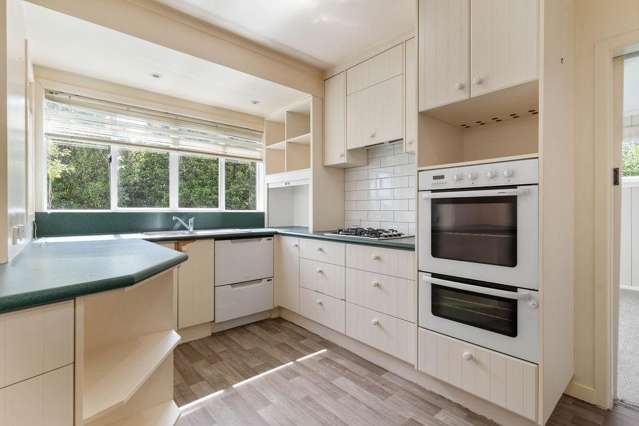 77 Titoki Street Lansdowne_1