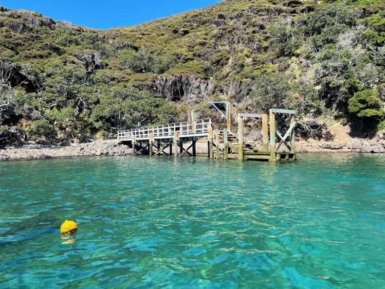 Lots 1 & 2 Karaka Bay Road Great Barrier Island_17