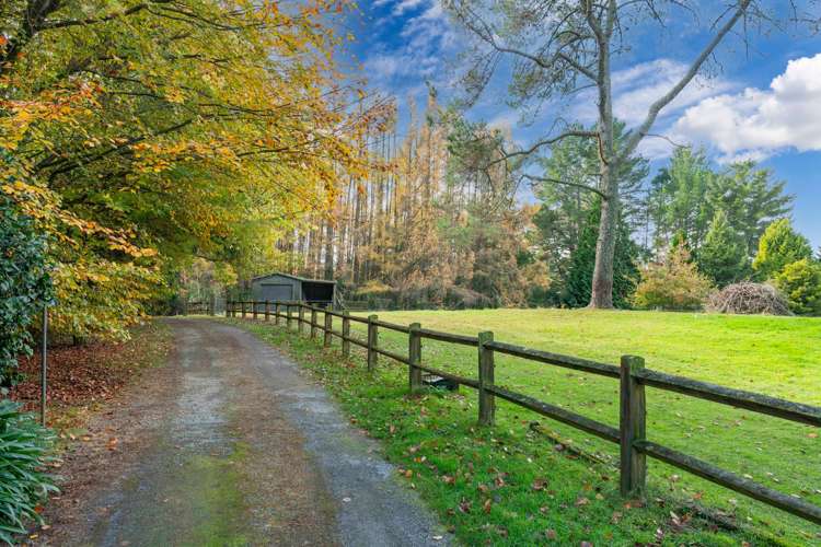 175 Forest Road Oruanui_32