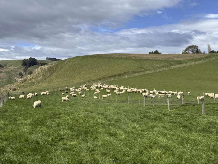 2207 Otautau Tuatapere Road Pukemaori_4