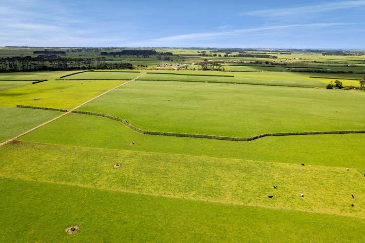 577 Patiki Road Pihama_6