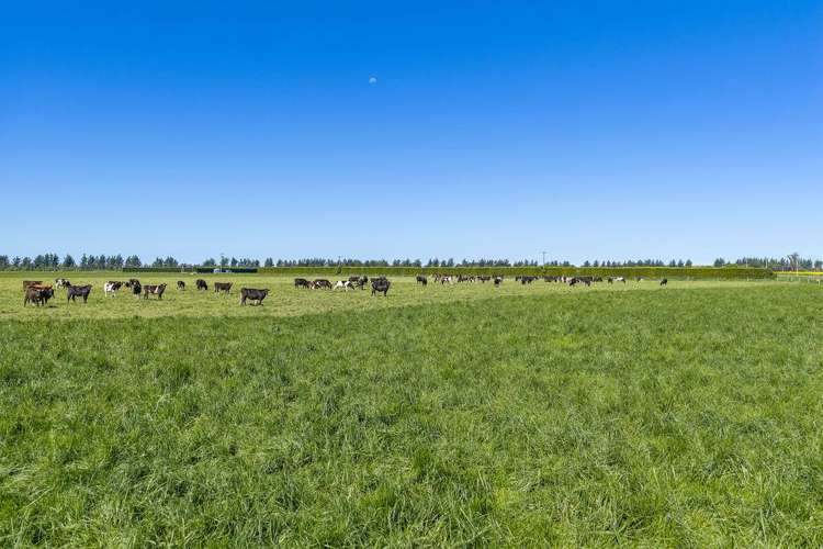 32 Ashton Road Ashburton_16