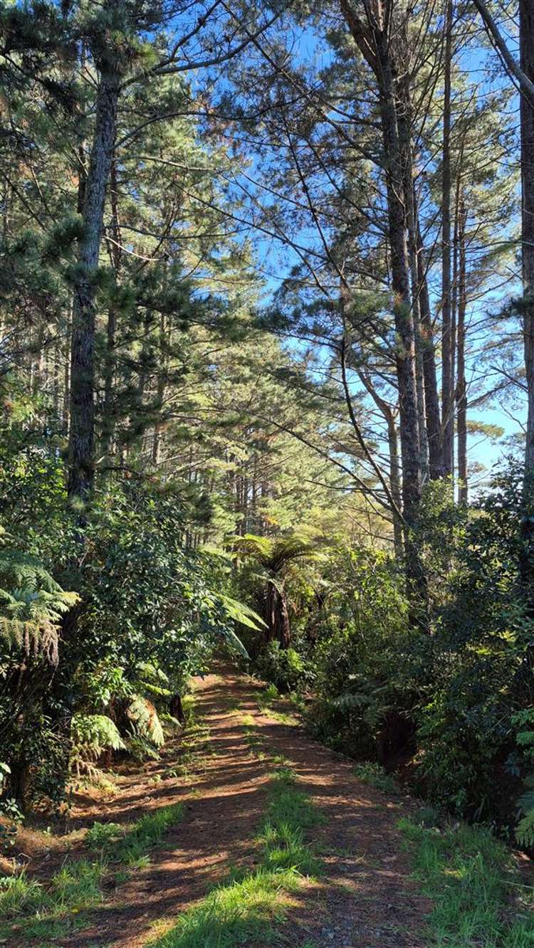 460 Otau Mountain Road Clevedon_10