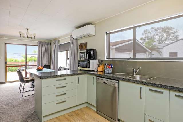 7 Ayto Way Havelock North_4