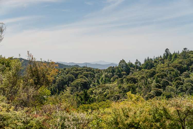 57 Tarapatiki Drive Whitianga_11