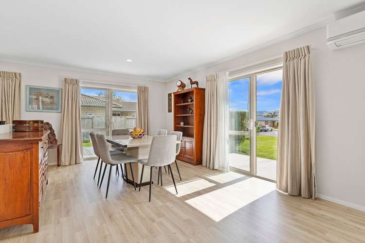 3 Vogel Place Te Aroha_9