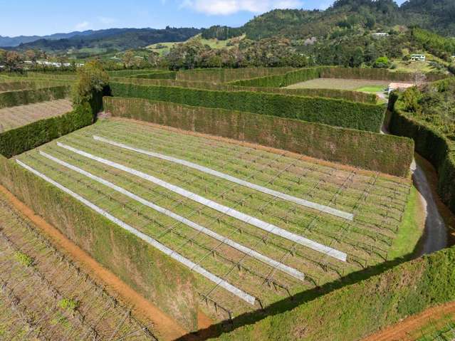 863 State Highway 2 Tanners Point_3