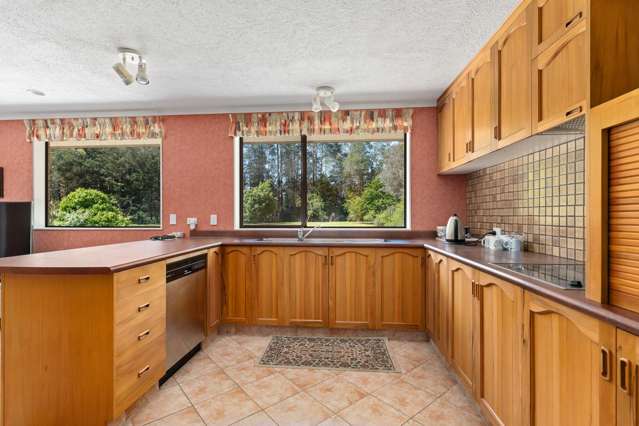 128 Tararua Drive Masterton_3