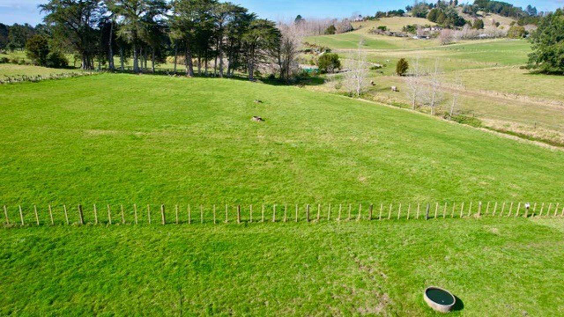 Lot 4 Main Road Kauri_0