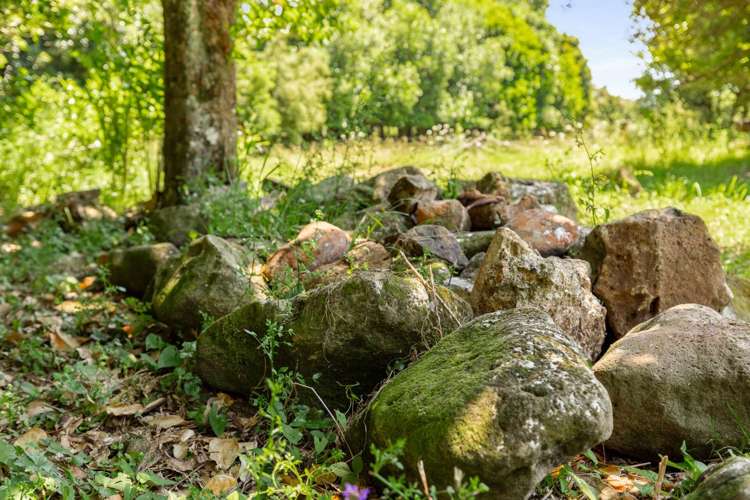 Lots 2&3/586 Tara Road Mangawhai_4