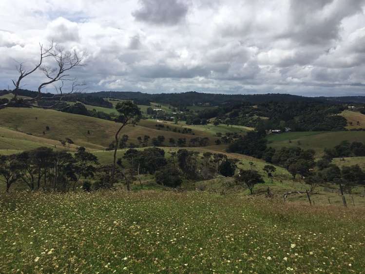 181 Inland Road Helensville_3