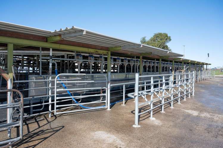 224 Handcock Road Reporoa_6