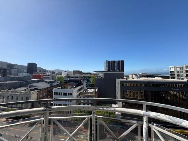 8A/15 Dixon Street Te Aro_1