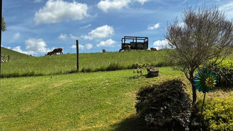 1255 Ararimu Road Ararimu_28