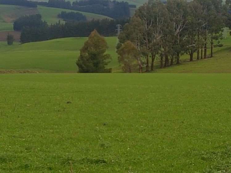 1680 Mahinerangi Road Waipori_37