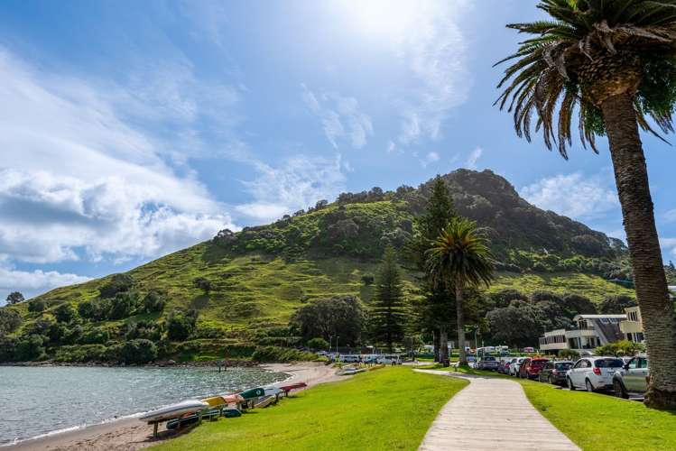 47A May Street Mount Maunganui_10