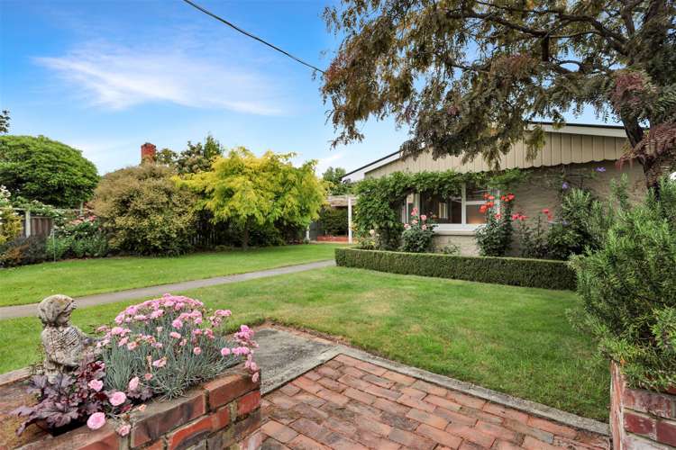 85 Trevors Road Hampstead_22
