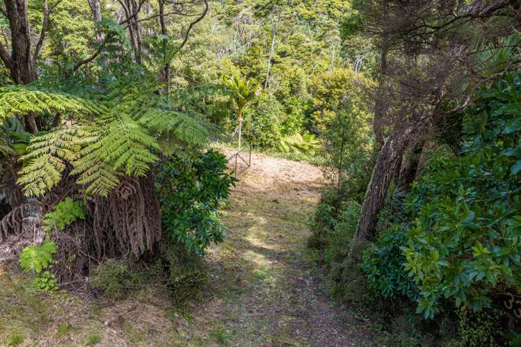 333 Cowes Bay Road Waiheke Island_12