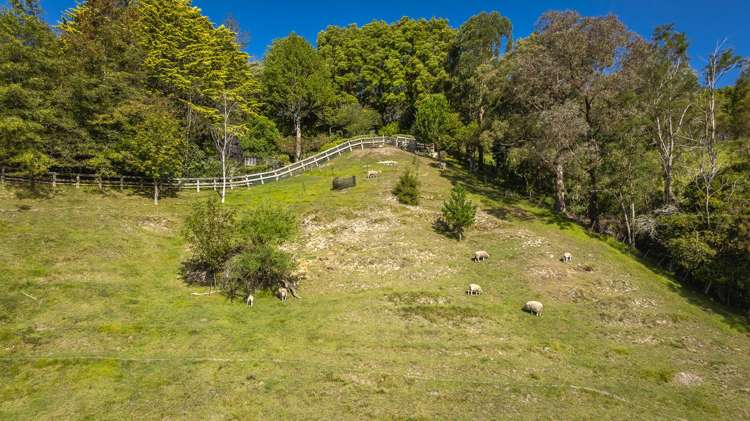 74 Kaimata Road Bay View_13