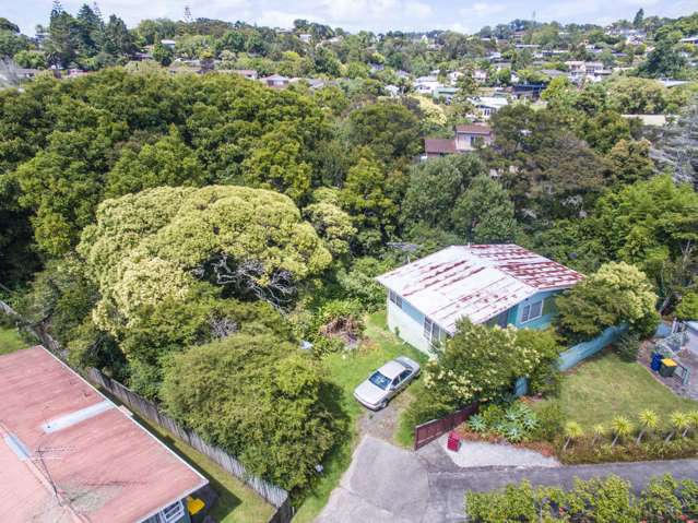 12 Titchener Street New Lynn_1