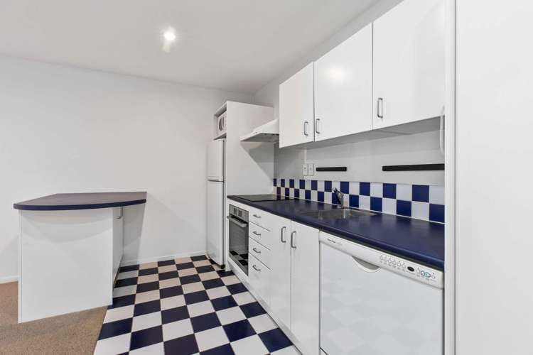 4g/250 Richmond Road Grey Lynn_6