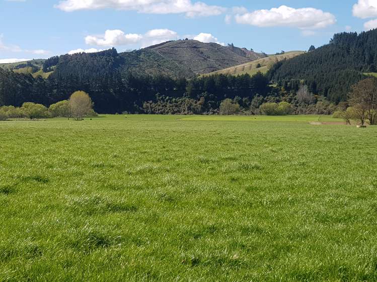 213 Toko Mouth Road Milton_13