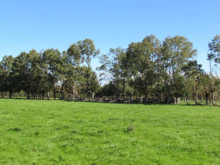 749 Swamp Road Puketapu_6