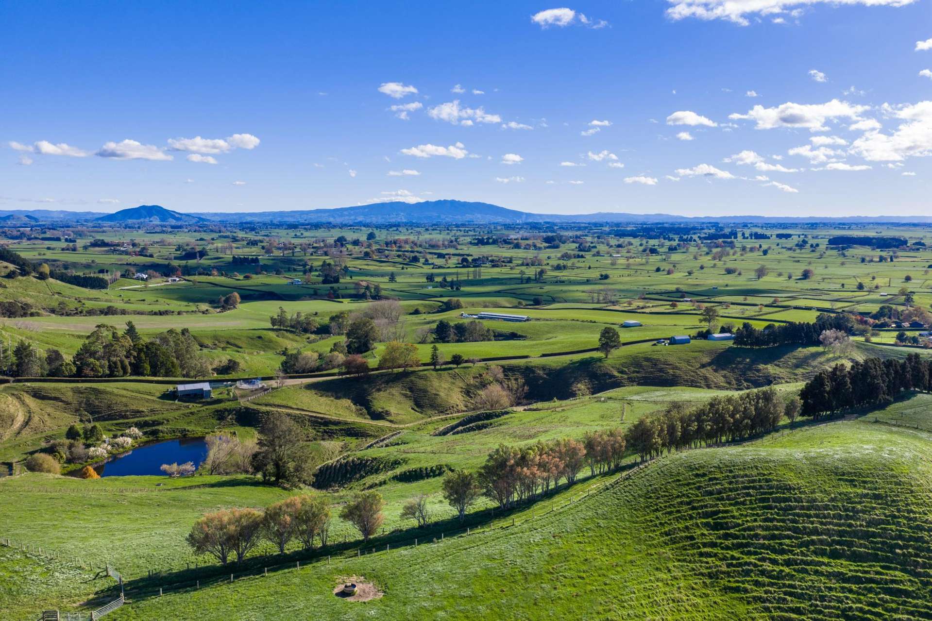 363 Grice Road Rotoorangi_0