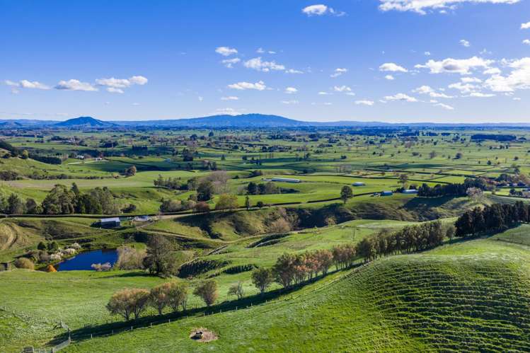 363 Grice Road Rotoorangi_0