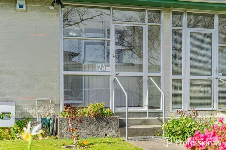 12a Chesney Street Avalon_19