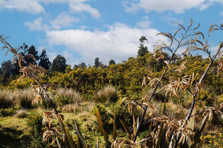 1128 Woodstock-Rimu Road_4