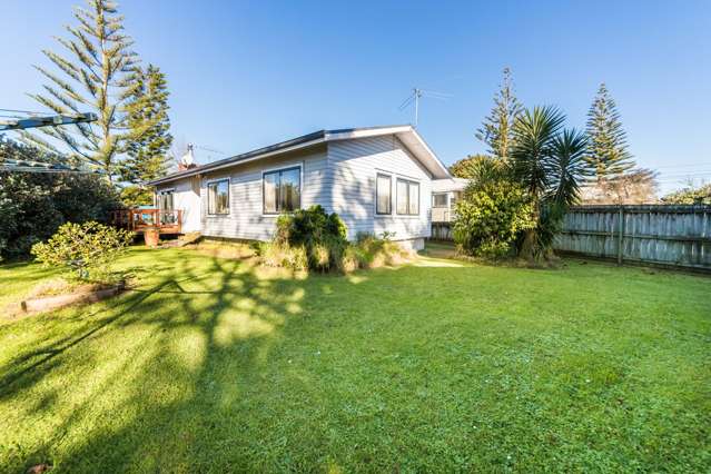 101 Metcalfe Road Ranui_3