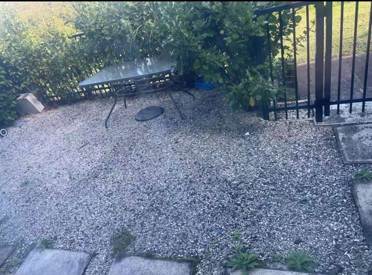 21 Lemon Tree Lane Flat Bush_3