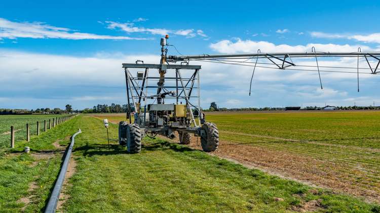 Selwyn Lake Road Leeston_27