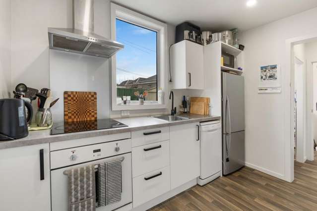 63 Fingall Street South Dunedin_1