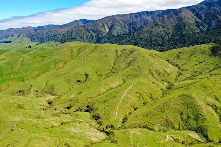 412 Tamaki West Road Dannevirke_10