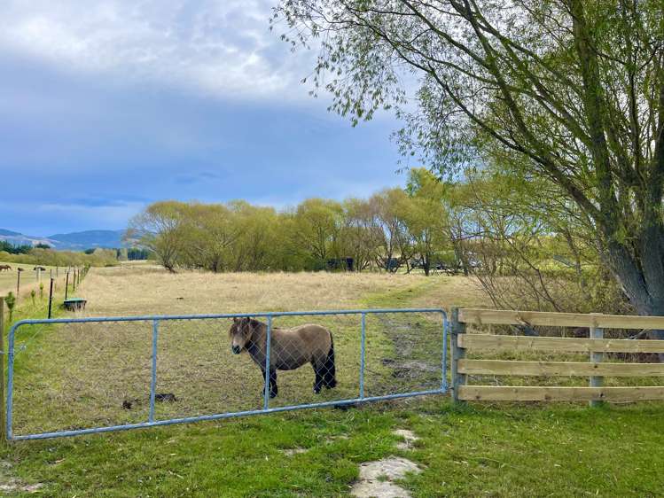 88 Maytown Road Waimate_17