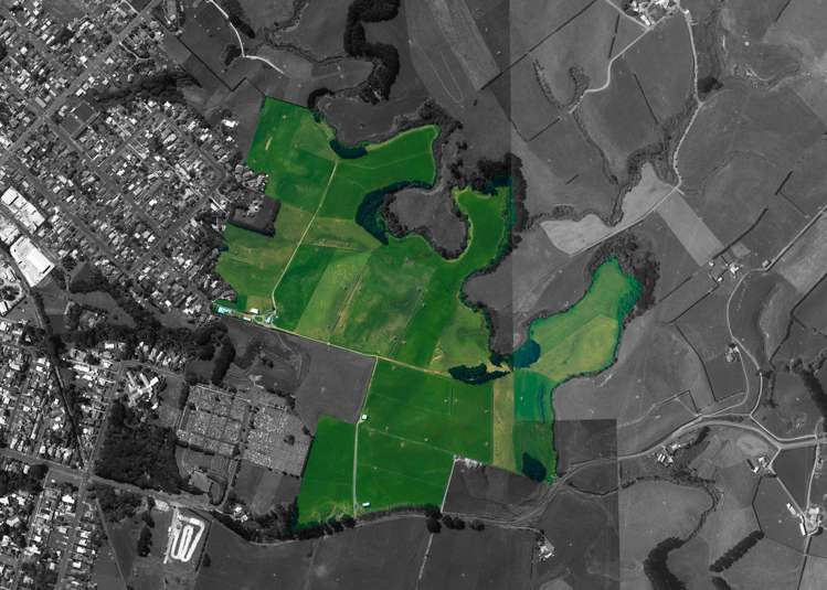 2a Ropata Street Hawera_41