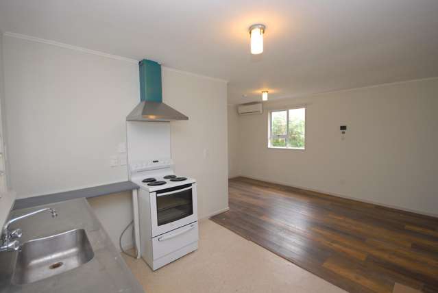 212c Carrington Rd Mount Albert_1